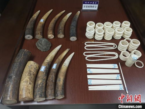 水口海關向林業(yè)局移交走私動物制品，加強生物資源保護執(zhí)法合作